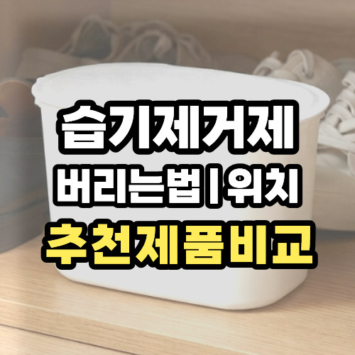 습기제거제 옷장 화장실 신발 위치 제습제 추천
